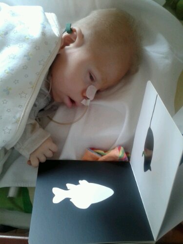 20130429_151042.jpg image