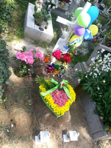 20130621_125255.jpg image