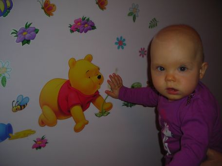 1278992_529396780462430_724973229_o