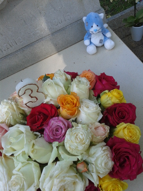 20150621_155952.jpg image