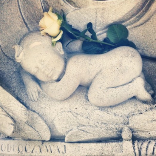 IMG_20150605_090418.jpg image